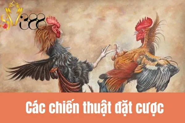 Tỷ Lệ Cược Đá Gà