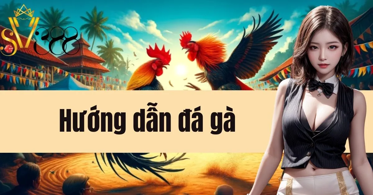 Hướng dẫn đá gà