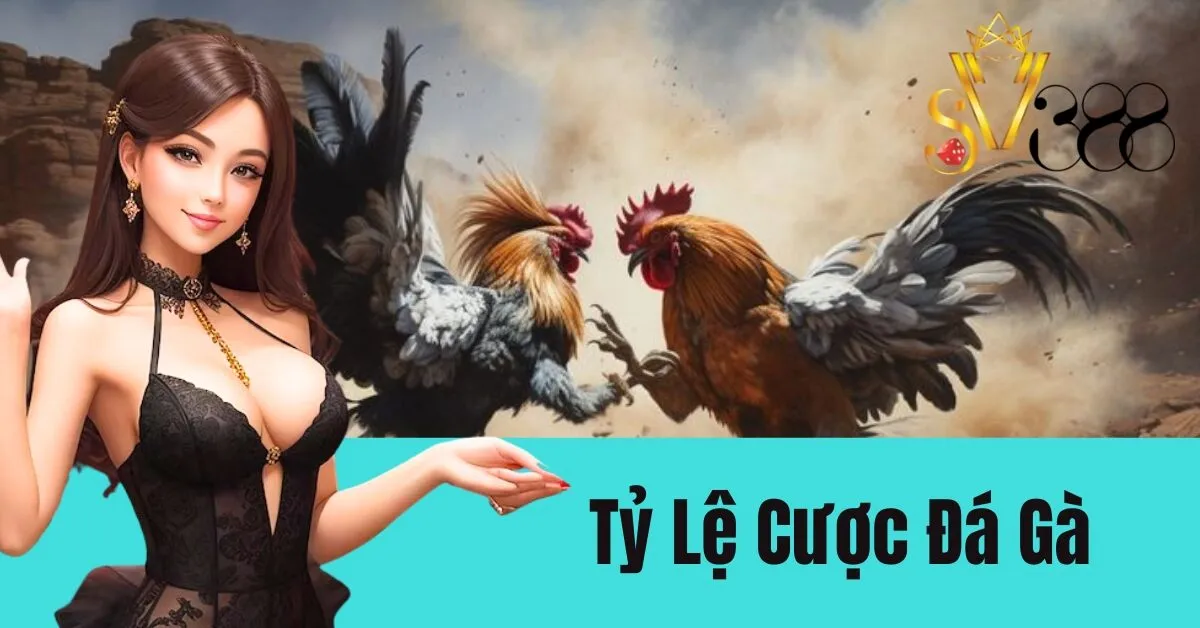 Tỷ Lệ Cược Đá Gà